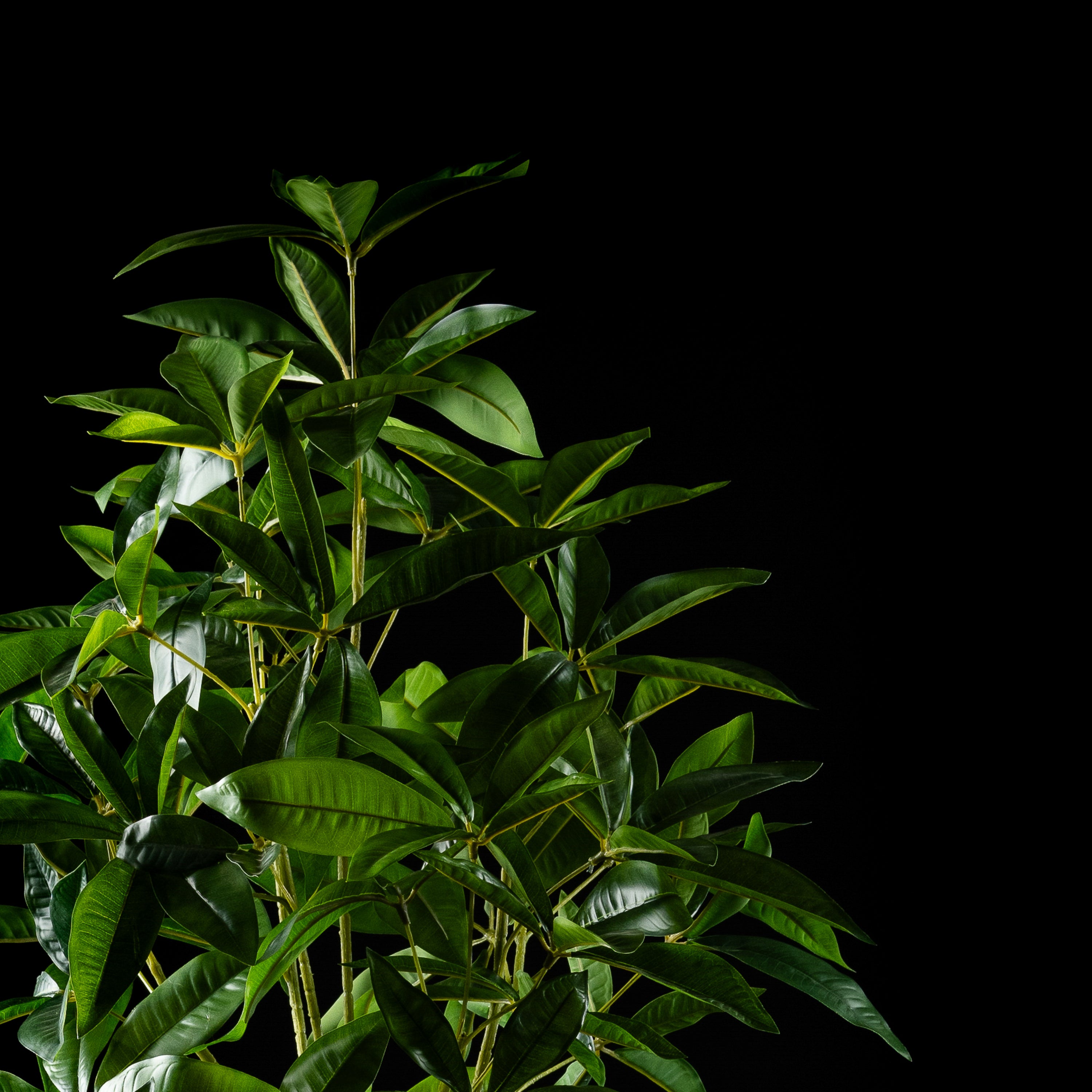 Plante artificielle Pachira Aquatica 150 cm — détail feuillage réaliste, sans entretien