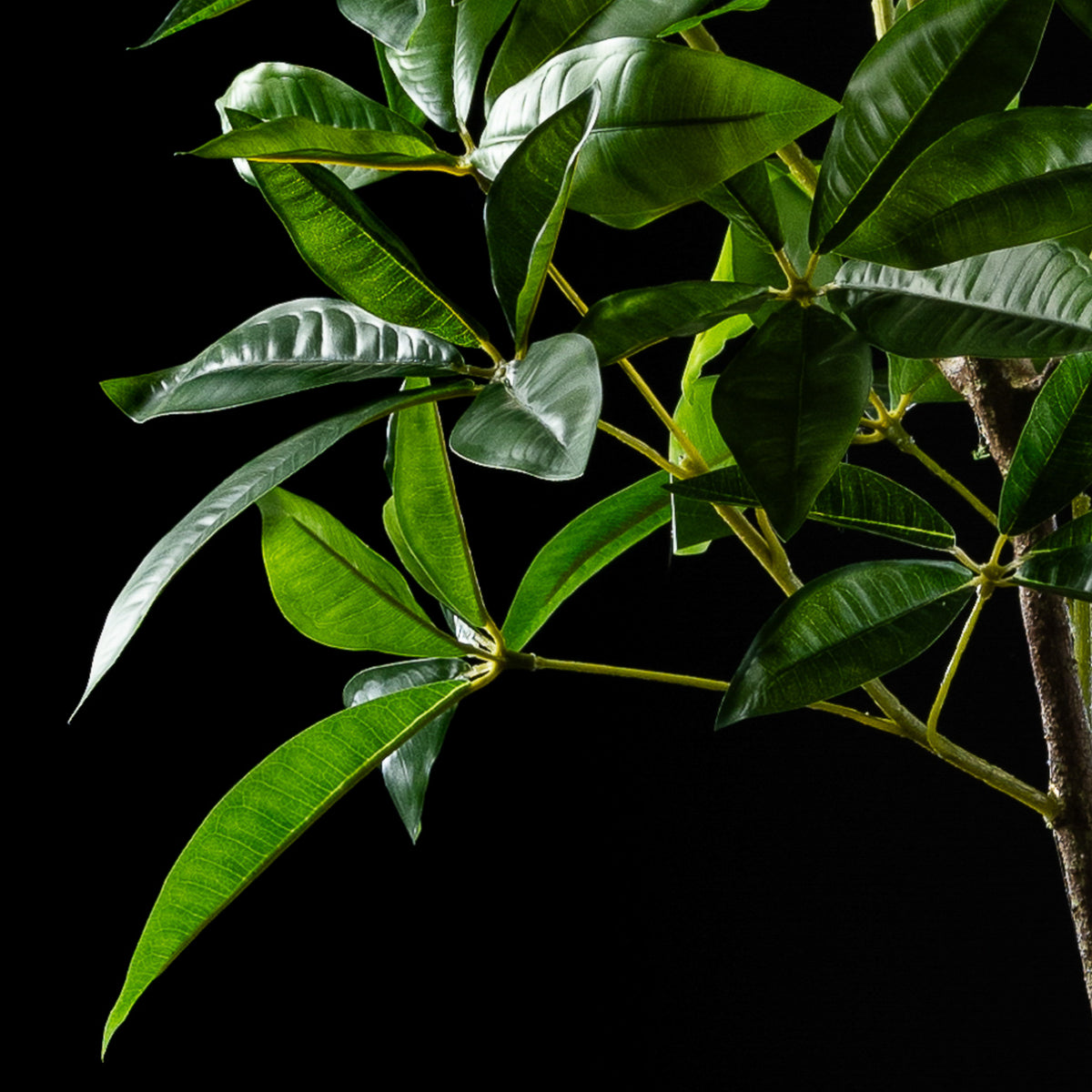 Plante artificielle Pachira Aquatica 150 cm Galan GA — déco intérieur réaliste sans entretien
