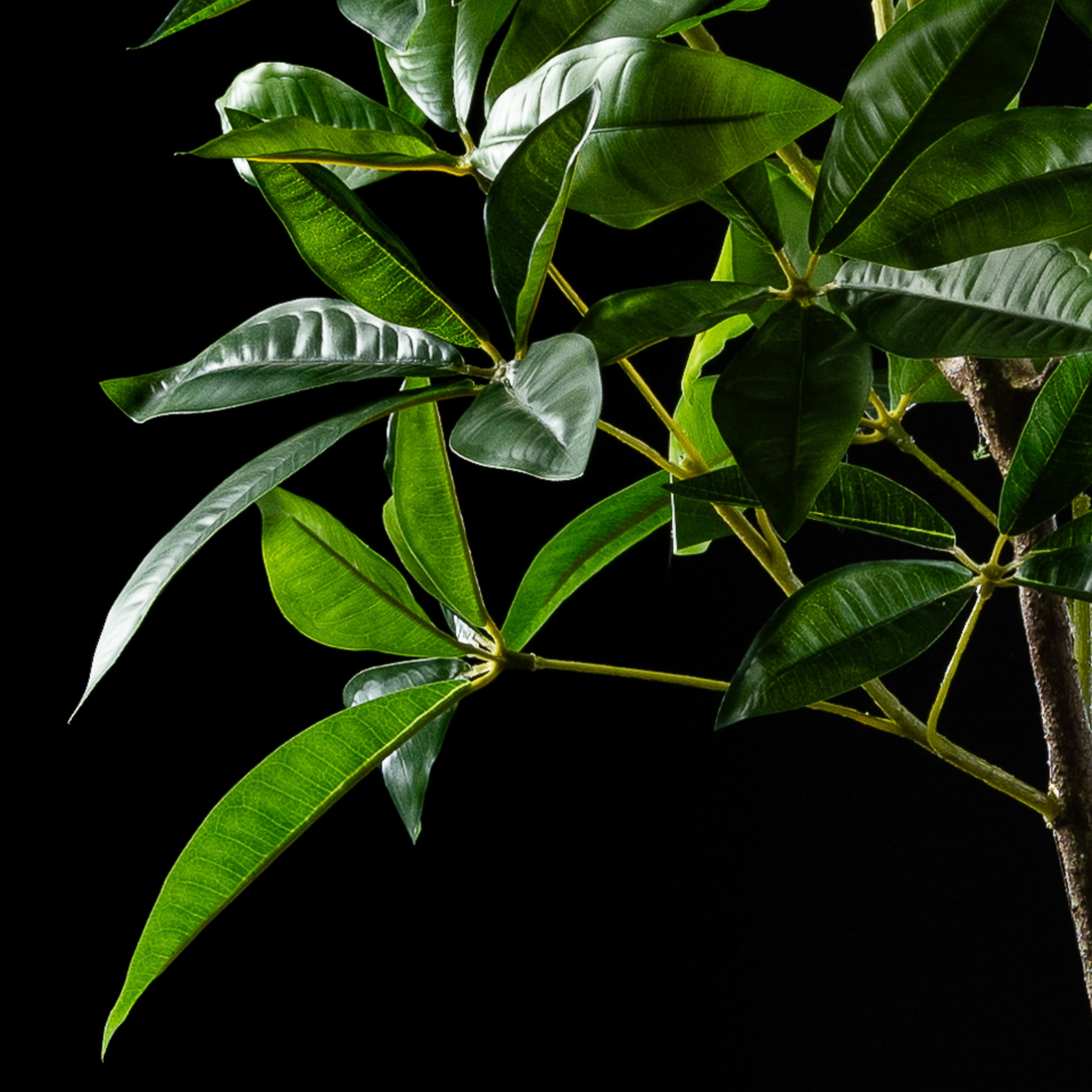 Plante artificielle Pachira Aquatica 150 cm Galan GA — déco intérieur réaliste sans entretien