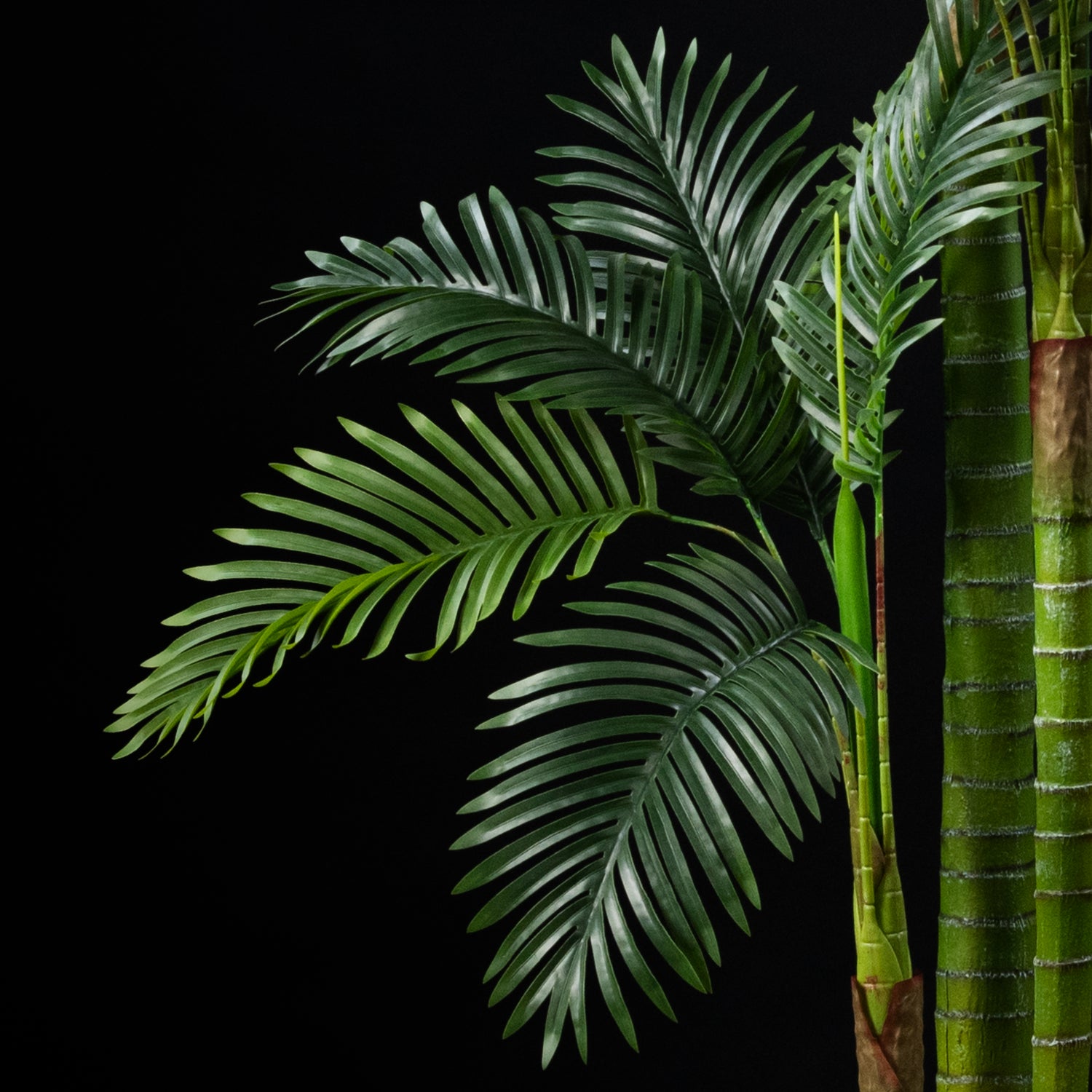 Palmier artificiel Adonidia Merrillii 210 cm — gros plan, qualité premium réaliste