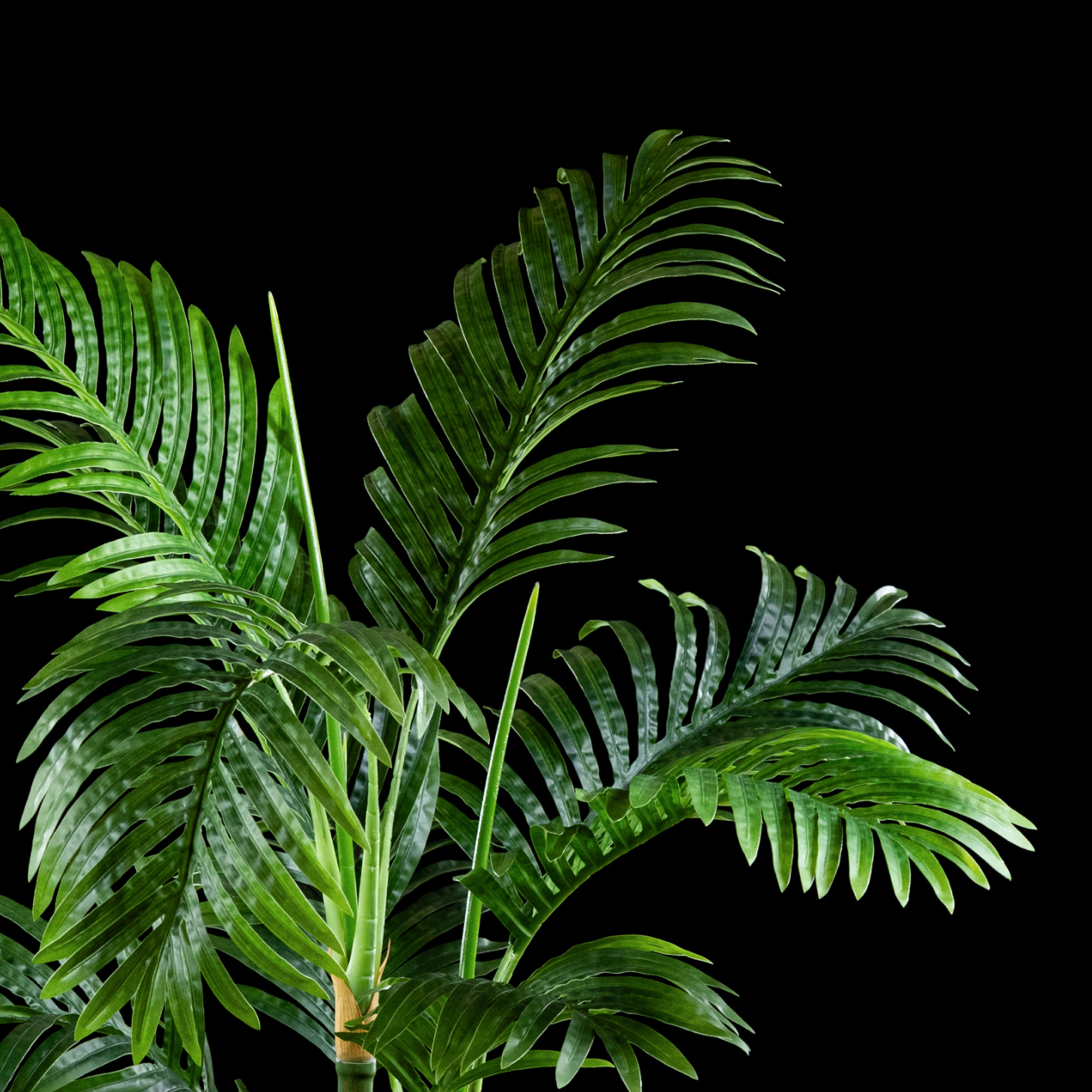 Cache-pot décoratif Palmier Areca 110 cm Galan GA — gros plan, qualité premium réaliste
