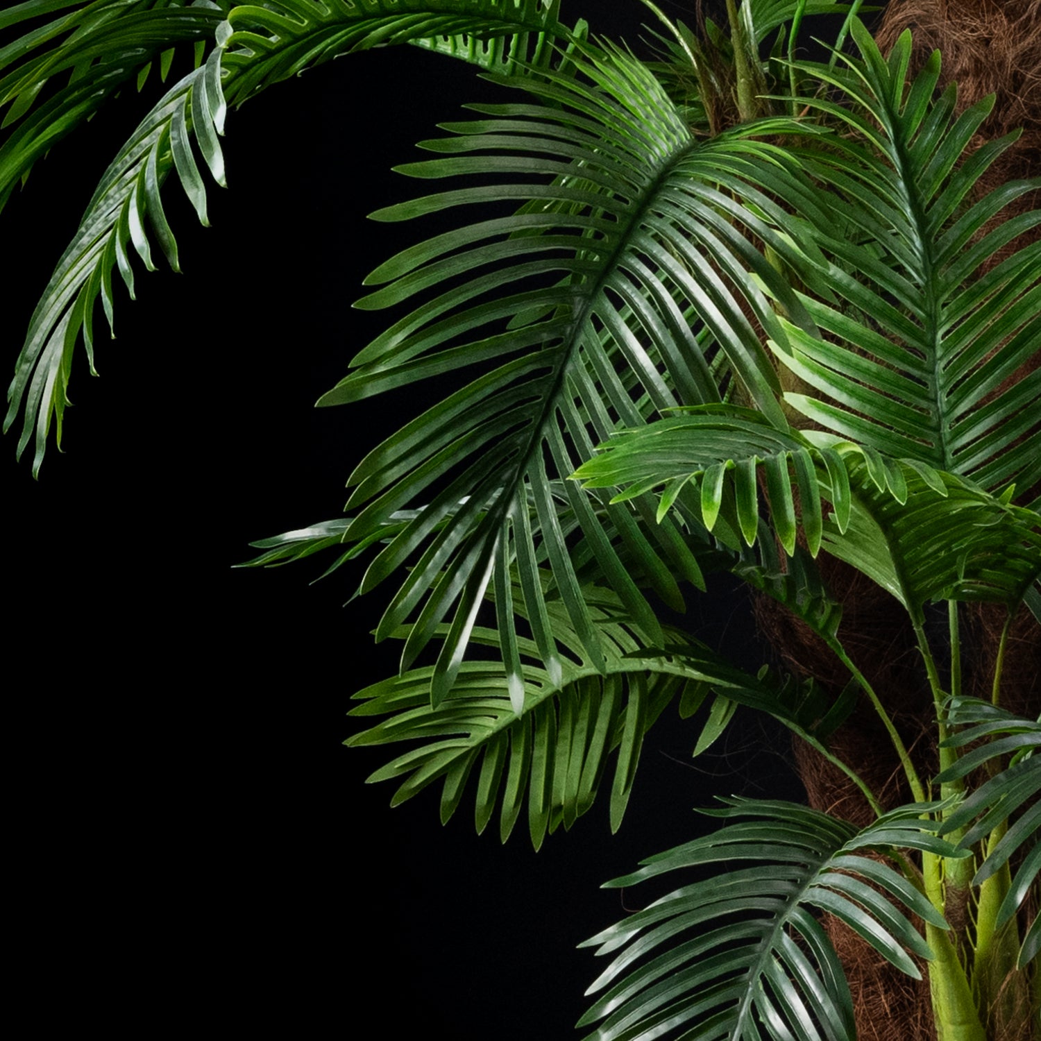Palmier artificiel Coco 4 troncs 240 cm Galan GA — déco intérieur réaliste sans entretien