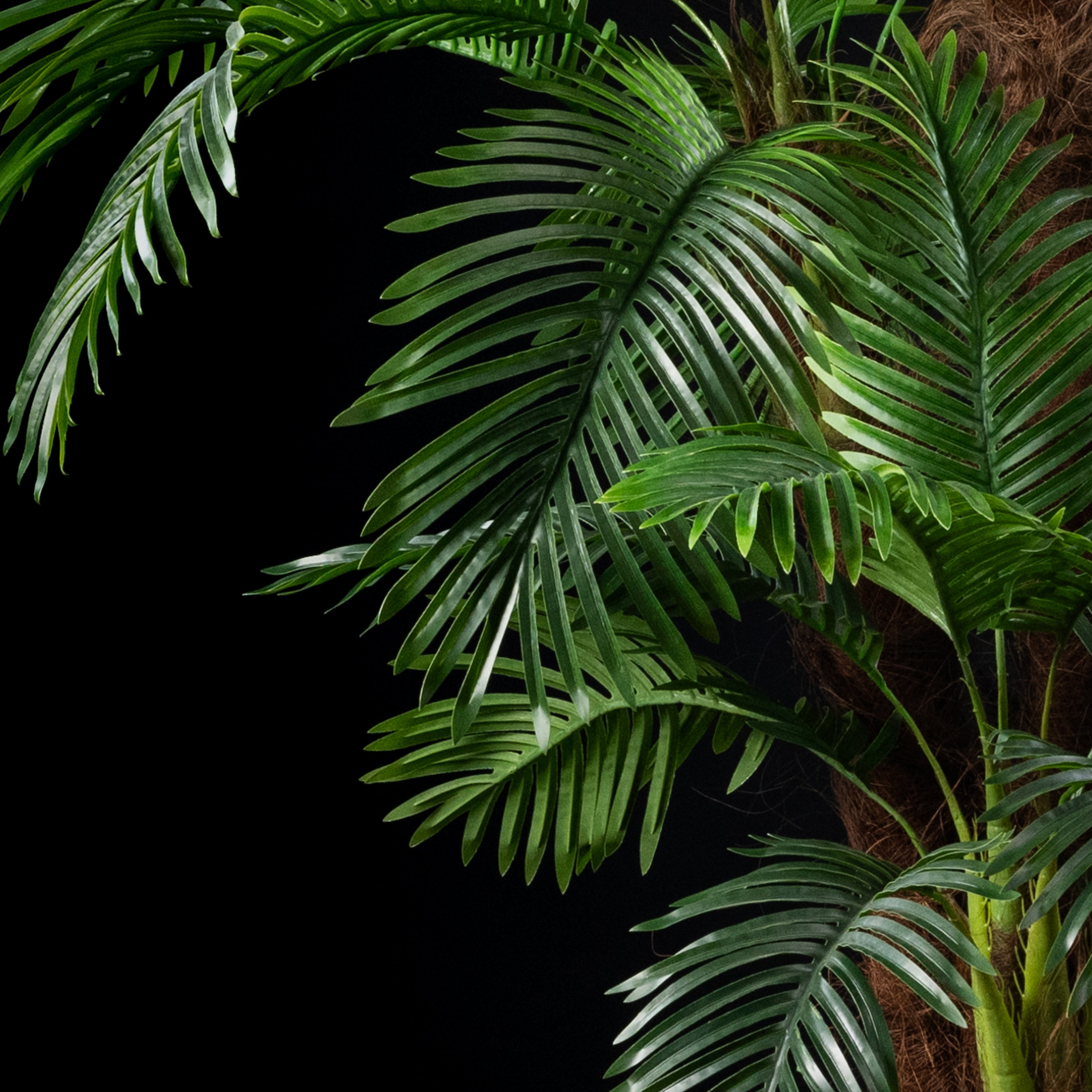 Palmier artificiel Coco 4 troncs 240 cm Galan GA — déco intérieur réaliste sans entretien