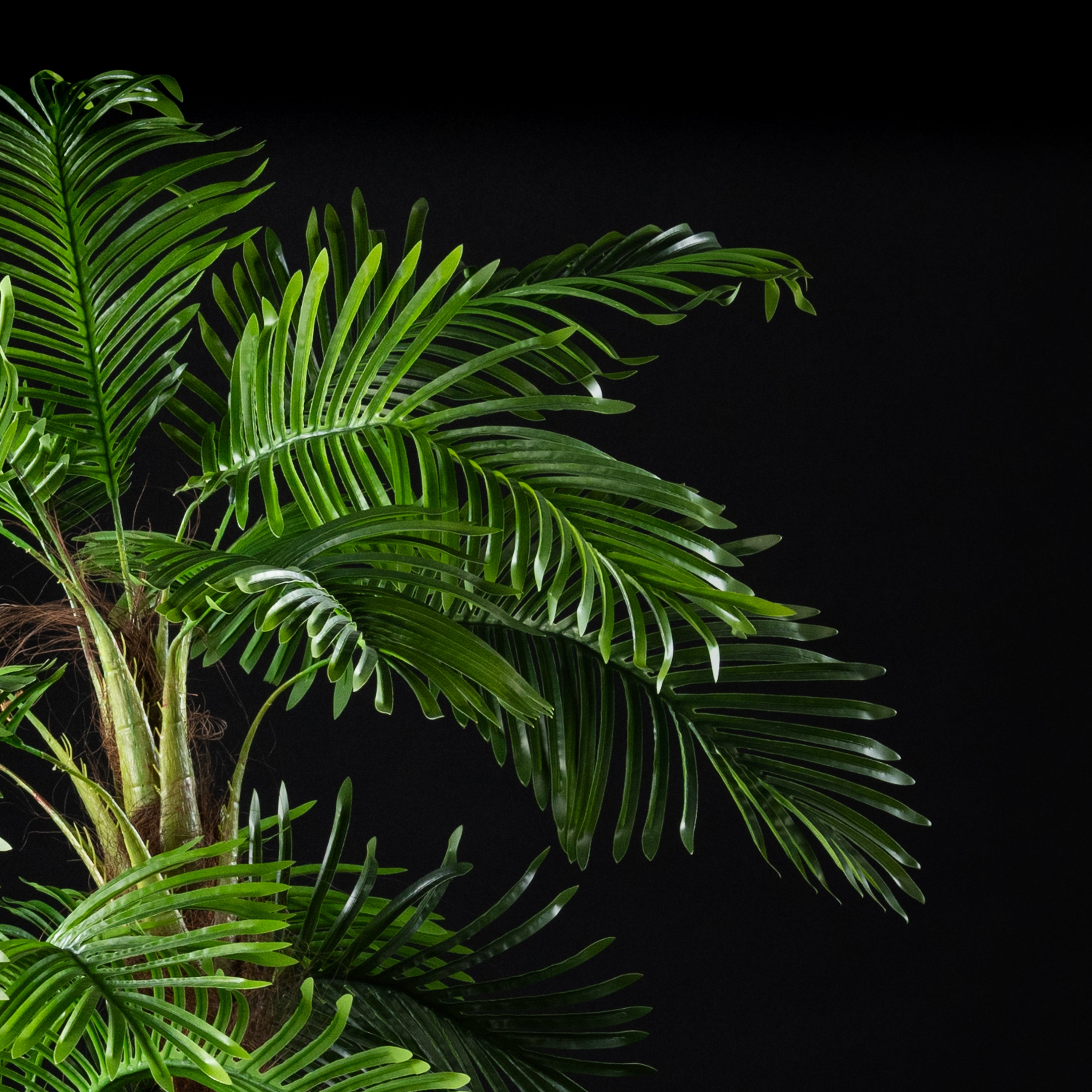 Palmier artificiel Coco 4 troncs 240 cm — gros plan, qualité premium réaliste