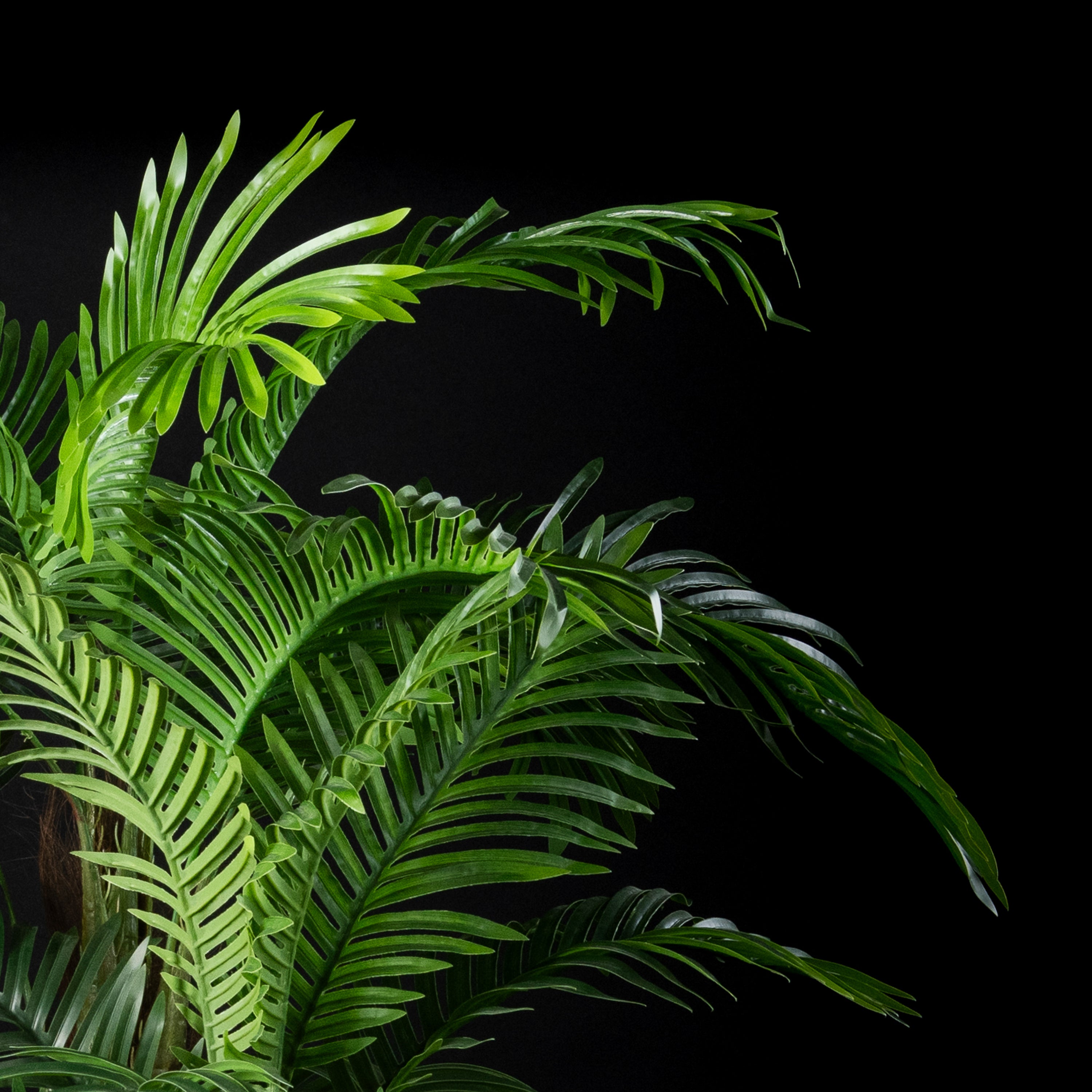 Palmier Coco 5 troncs — plante artificielle haut de gamme et réaliste, plante d&
