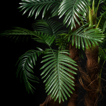 Palmier Coco 5 troncs — vue alternative, plante artificielle plante d&