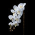 Orchidée artificielle Velours 95 cm Galan GA — déco intérieur réaliste sans entretien