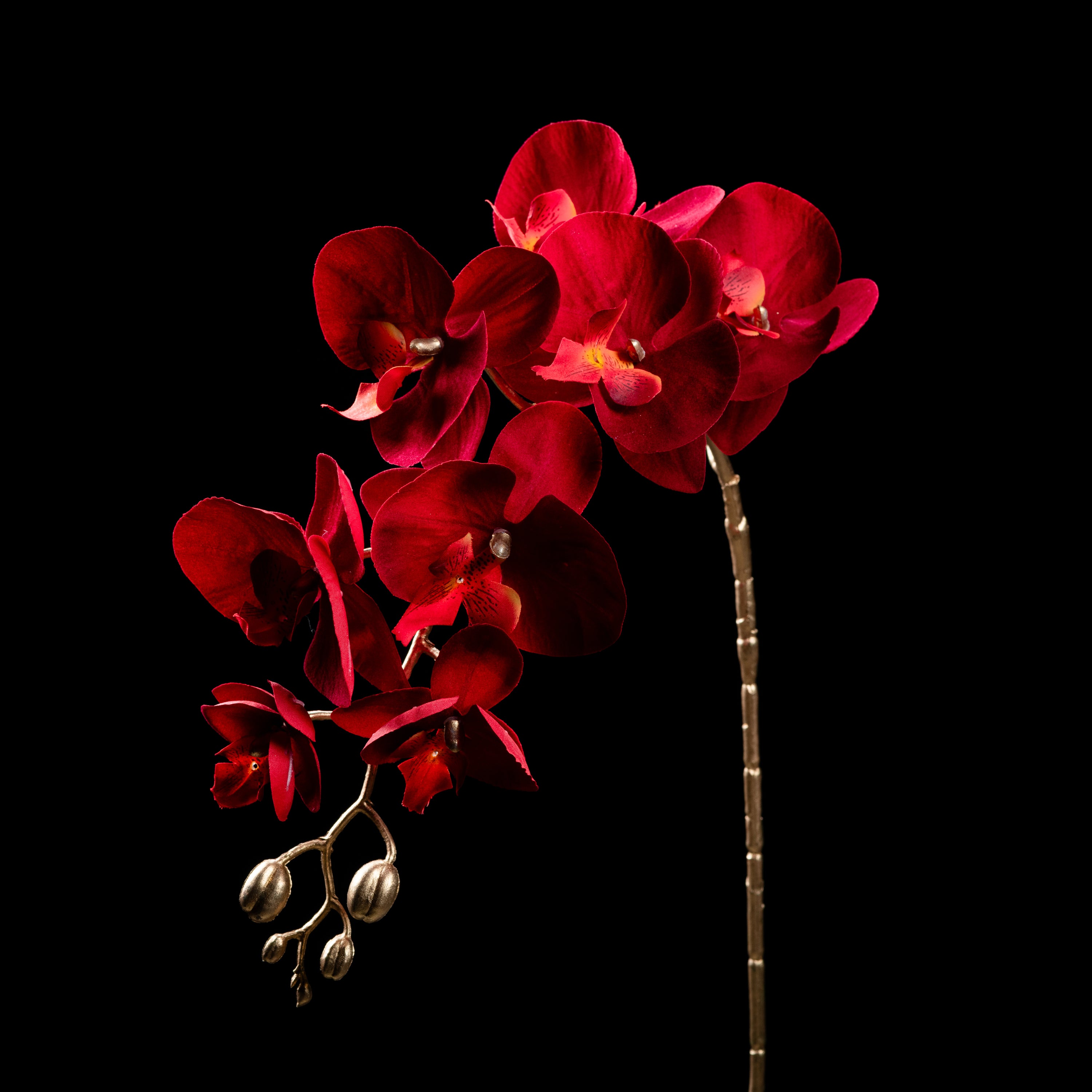 Orchidée artificielle Velours 95 cm Galan GA — déco intérieur réaliste sans entretien