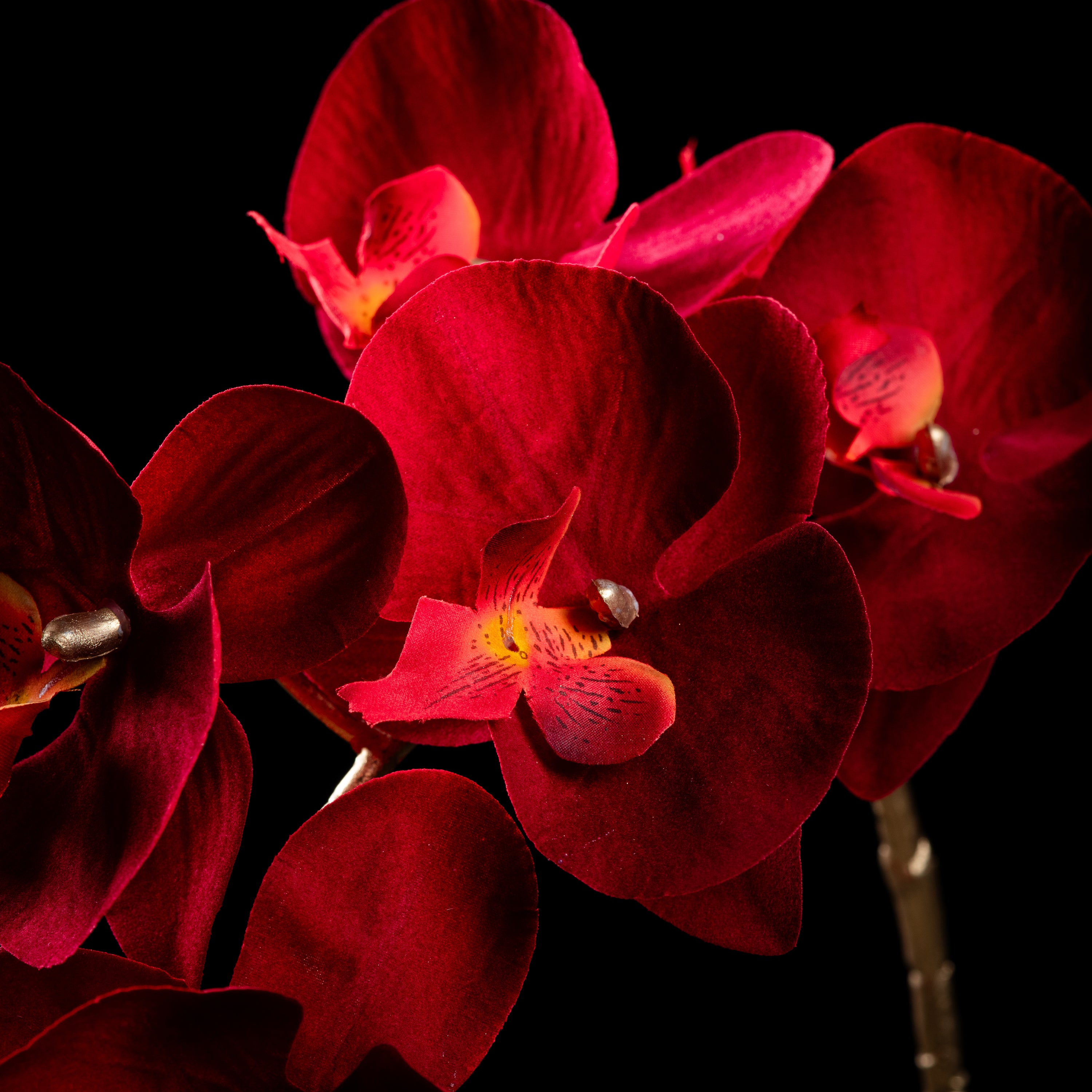 Orchidée artificielle Velours 95 cm — détail fleurs réaliste, sans entretien