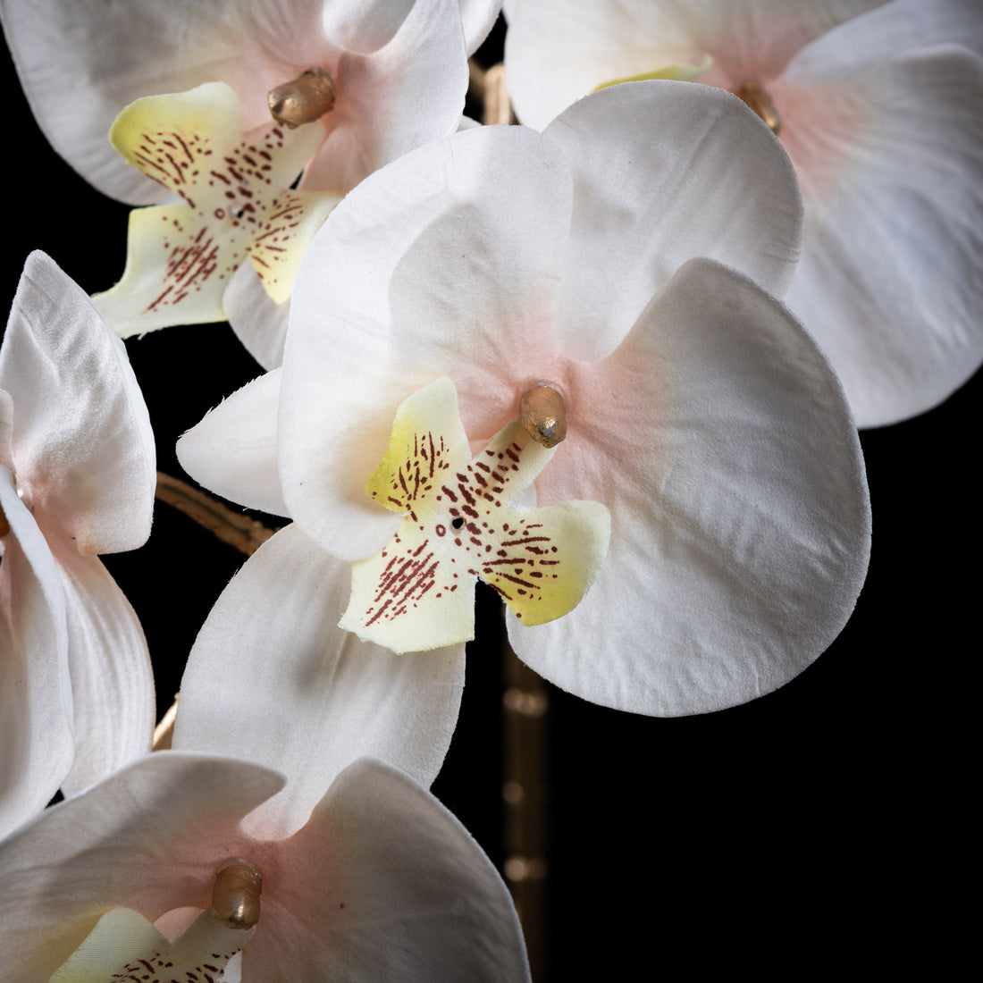 Orchidée artificielle Velours 95 cm — détail fleurs réaliste, sans entretien