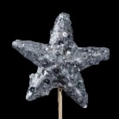 Pic de Noël en bois étoile pailletée 7 cm, coloris argent