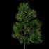 Branche de pin de Noël artificielle 60 cm à longues aiguilles, vue entière