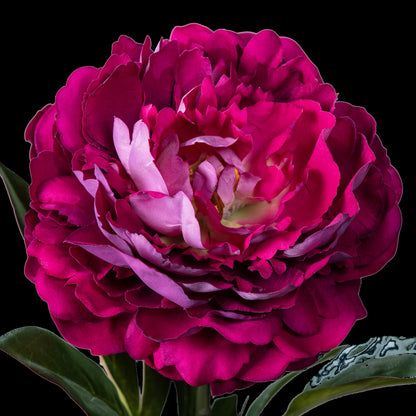 Pivoine artificielle en velours pourpre 77 cm, gros plan sur les pétales fuchsia et mauves