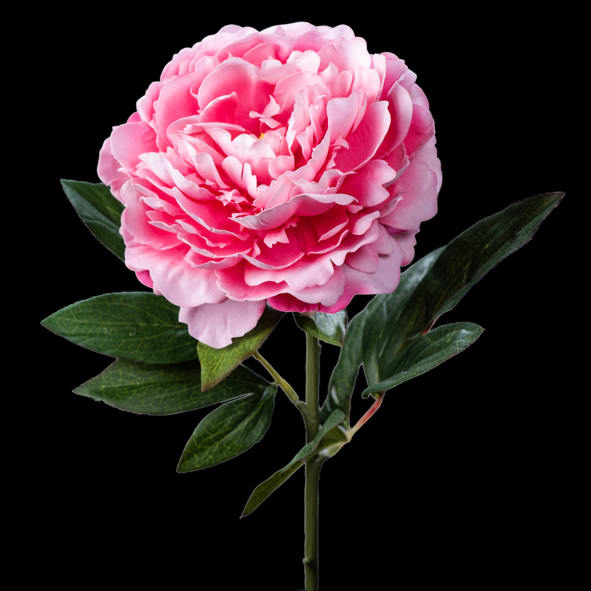 Pivoine artificielle en velours rose 77 cm, fleur double et feuilles vert foncé