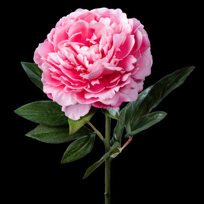 Pivoine artificielle en velours rose 77 cm, fleur double et feuilles vert foncé
