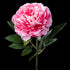 Pivoine artificielle en velours rose 77 cm, fleur double et feuilles vert foncé