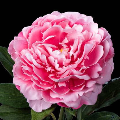 Pivoine artificielle en velours rose 77 cm, gros plan sur les pétales rose vif bordés de pâle