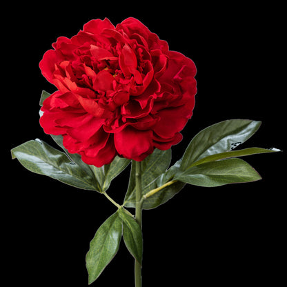 Pivoine artificielle en velours rouge 77 cm, fleur double sur tige feuillée