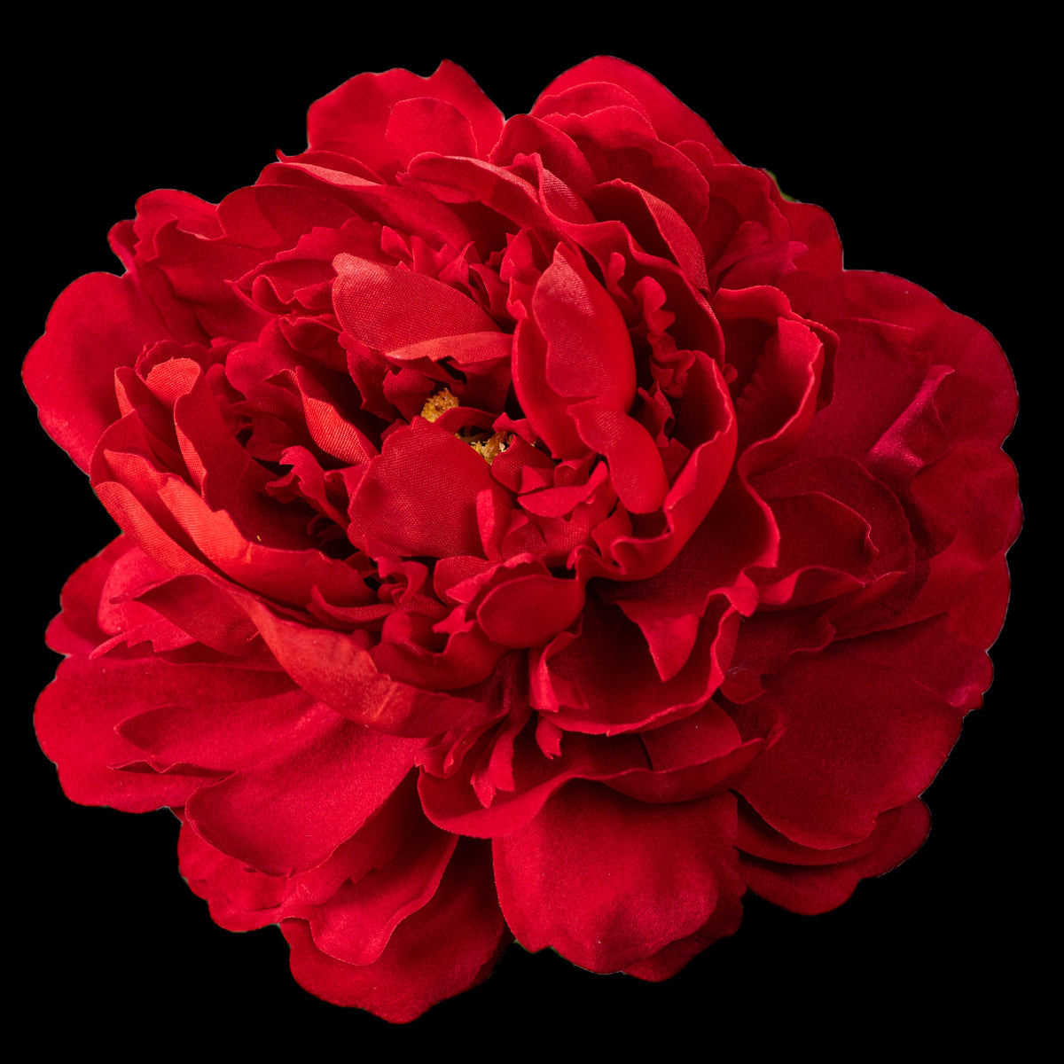 Pivoine artificielle en velours rouge 77 cm, fleur vue de face aux pétales froissés