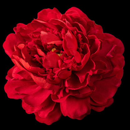 Pivoine artificielle en velours rouge 77 cm, fleur vue de face aux pétales froissés