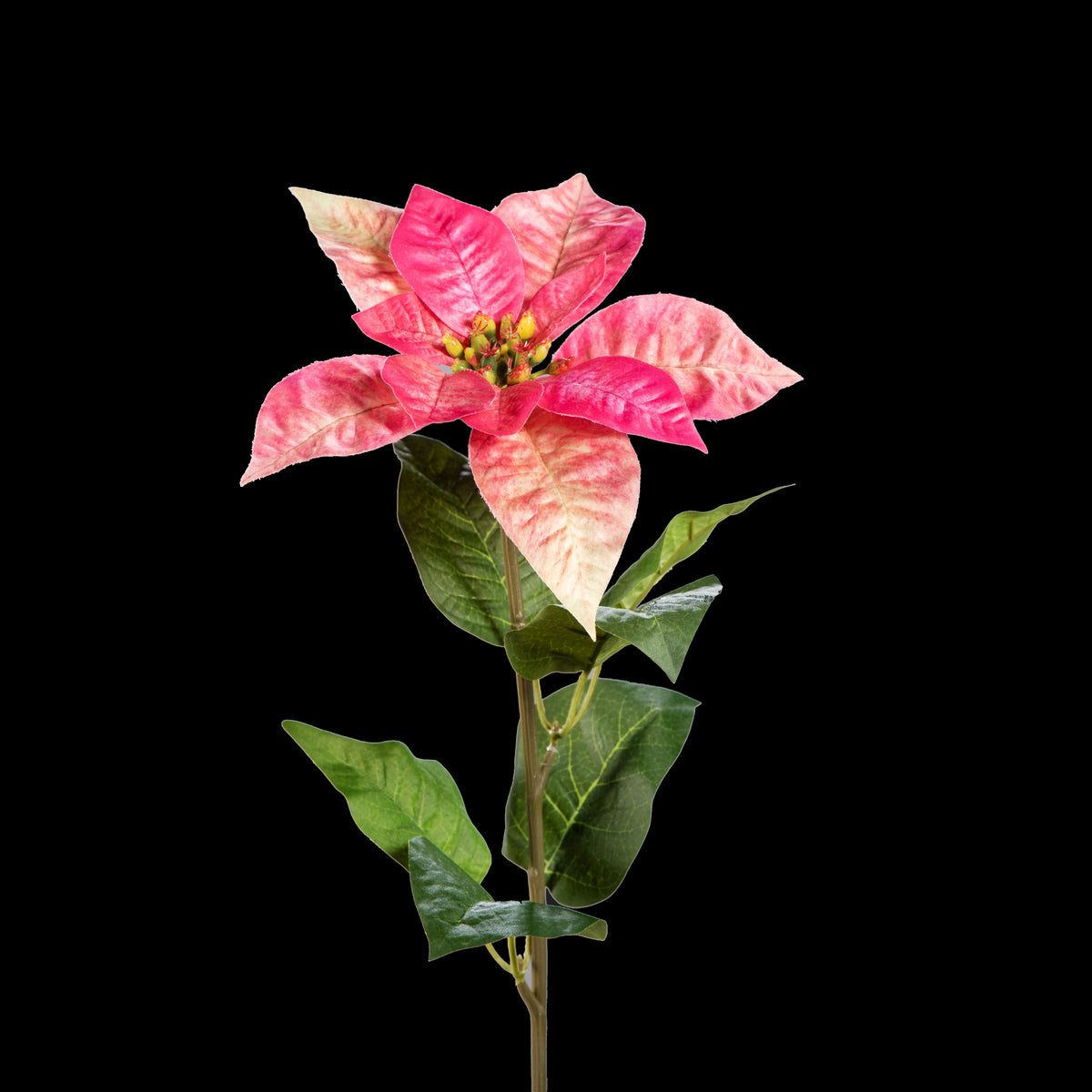Étoile de Noël artificielle rose et crème 57 cm, tige entière avec ses feuilles