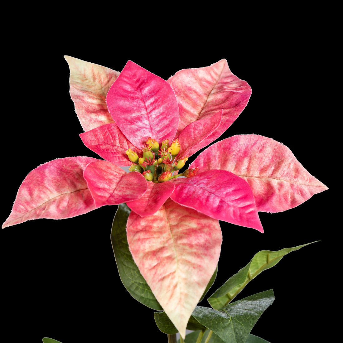 Étoile de Noël artificielle rose et crème 57 cm, détail de la fleur aux bractées marbrées