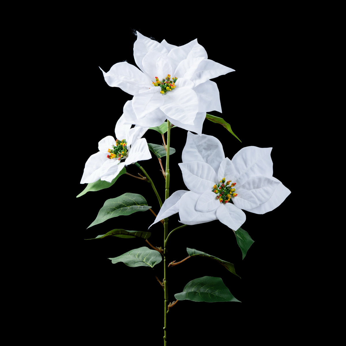 Étoile de Noël artificielle velours crème 3 fleurs 77 cm, tige entière avec ses feuilles