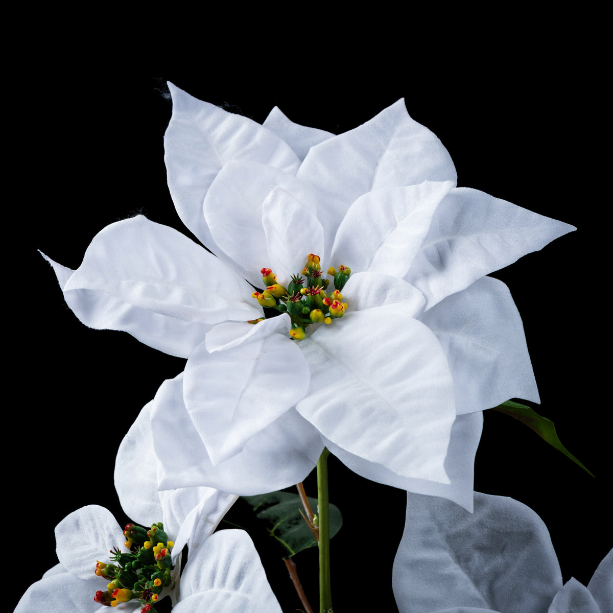 Étoile de Noël artificielle velours crème 3 fleurs 77 cm, détail de la plus grande fleur