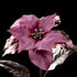 Poinsettia artificiel Velours 80 cm — détail fleurs réaliste, sans entretien