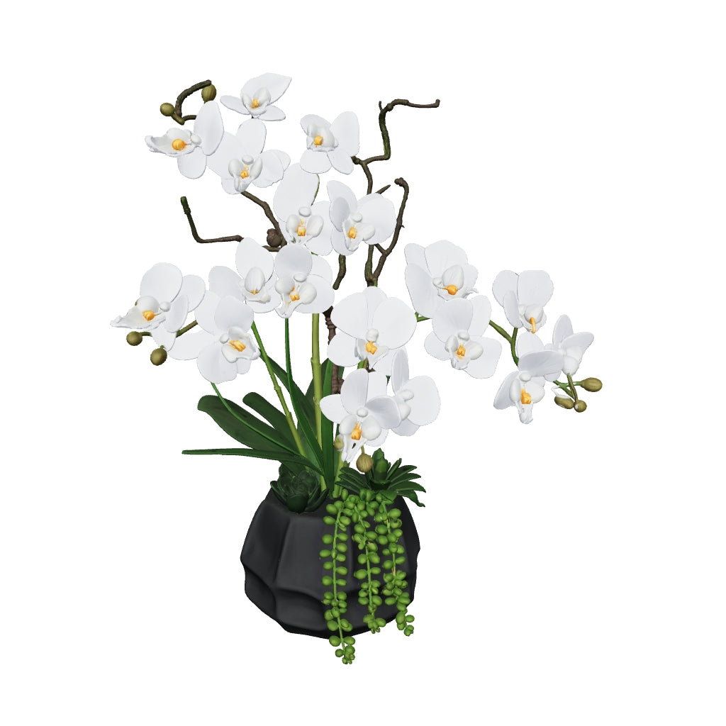 Orchidée vase noir 57 cm - 3D mat, face caméra (AR)