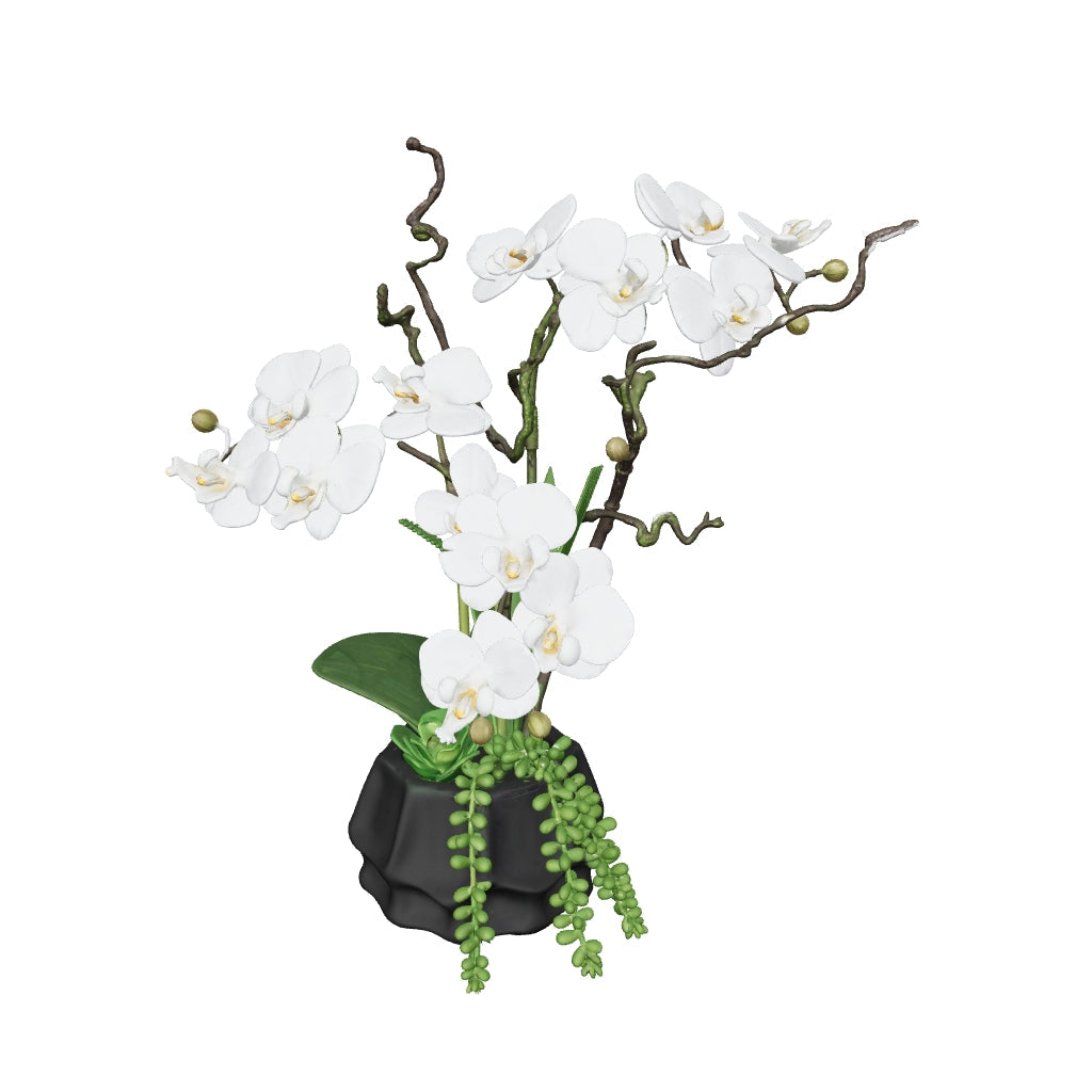 Orchidée branches torsadées 55 cm - modèle 3D mat, face caméra (AR)