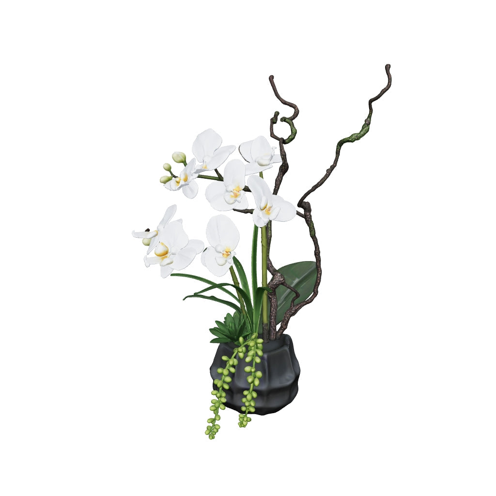 Orchidée blanche 46 cm - 3D mat, face caméra (AR)