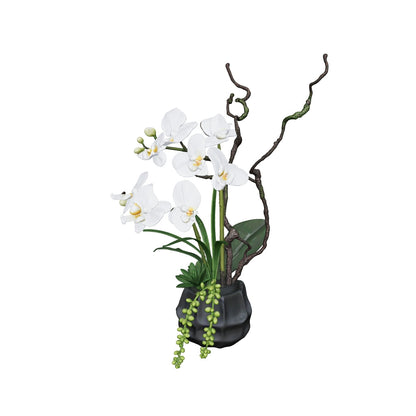 Orchidée blanche 46 cm - 3D mat, face caméra (AR)