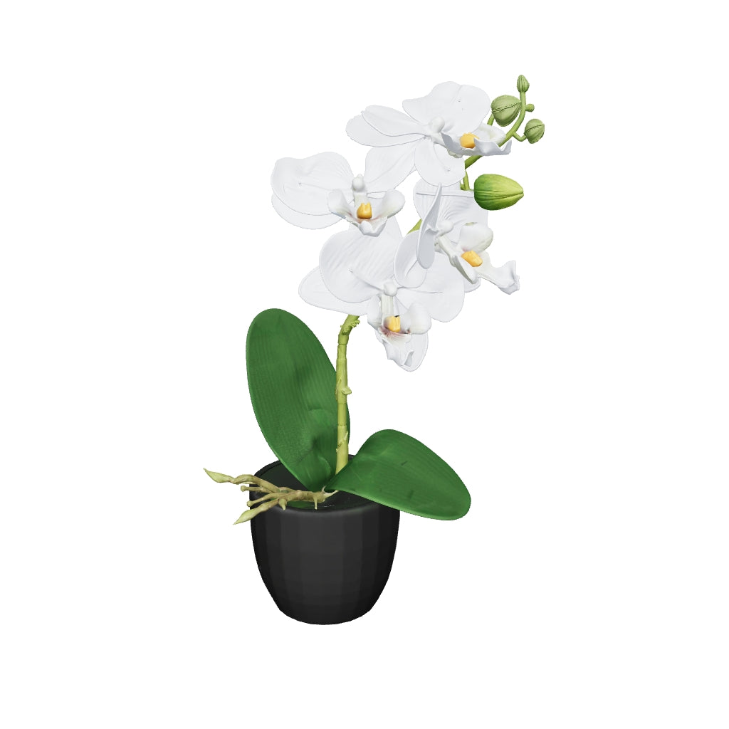 Mini orchidée blanche 26 cm - 3D mat, face caméra (AR)