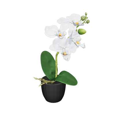 Mini orchidée blanche 26 cm - 3D mat, face caméra (AR)