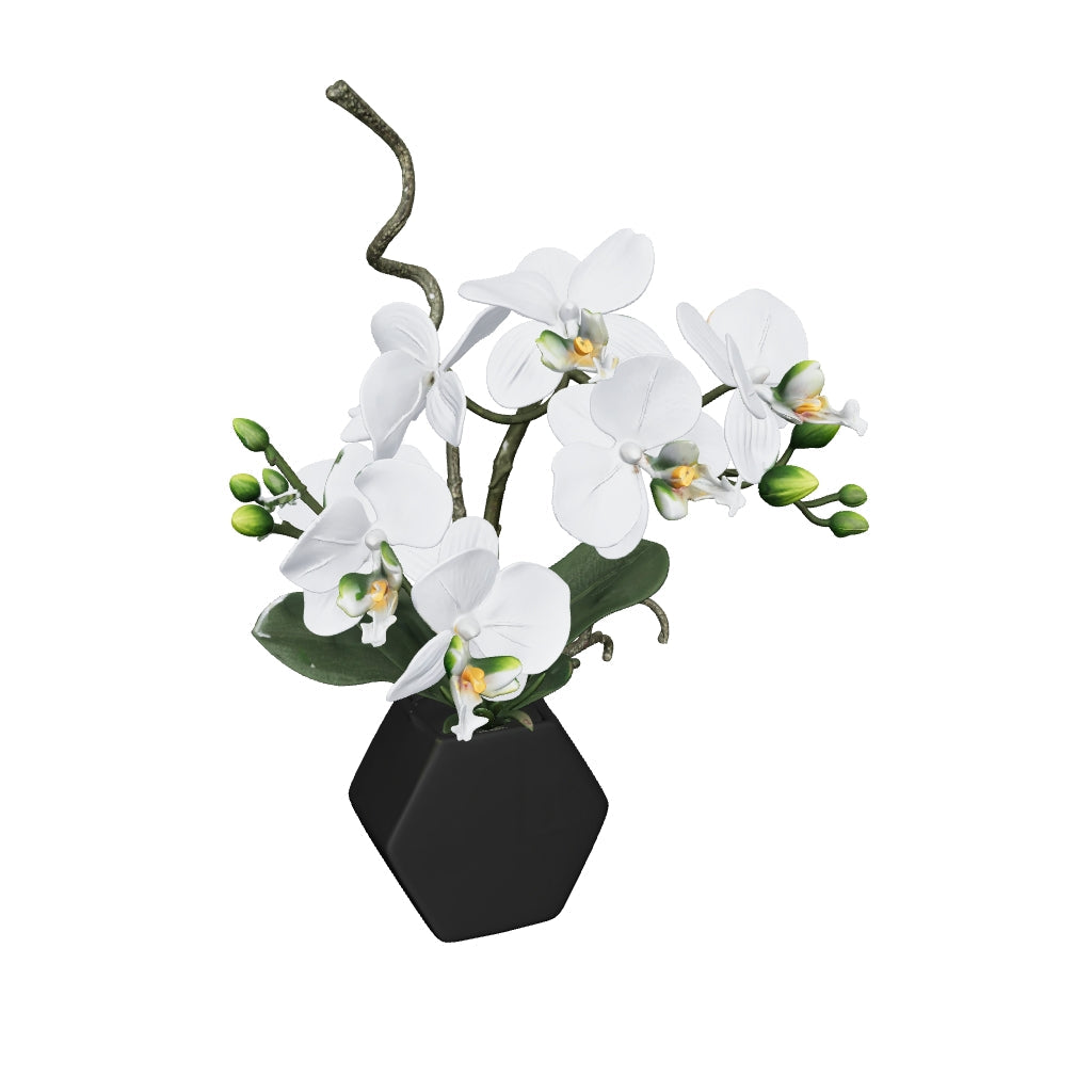 Orchidée blanche 34 cm - modèle 3D mat, orienté face caméra (AR)
