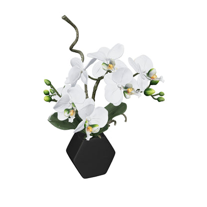 Orchidée blanche 34 cm - modèle 3D mat, orienté face caméra (AR)