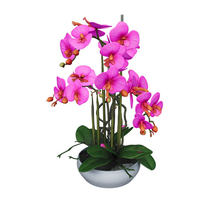 Orchidée rose 74 cm - 3D mat, feuilles nettoyées (AR)