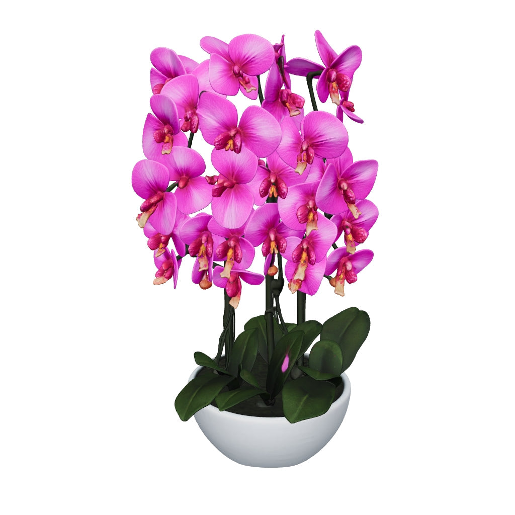 Orchidée rose vif 76 cm - 3D mat, feuilles nettoyées (AR)