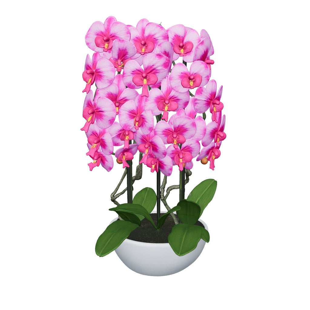 Orchidée rose dégradé 76 cm - 3D mat, feuilles nettoyées (AR)