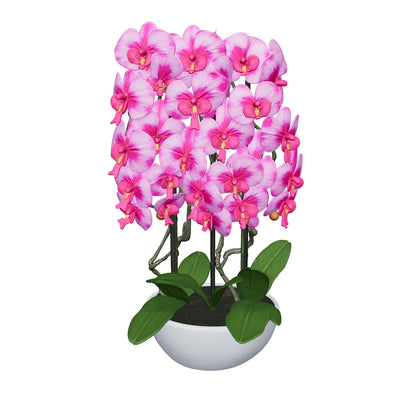 Orchidée rose dégradé 76 cm - 3D mat, feuilles nettoyées (AR)