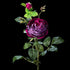 Rose artificielle en velours pourpre 78 cm avec bouton, tige entière et feuillage