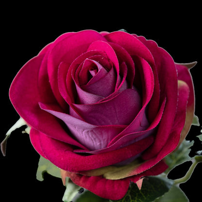 Rose artificielle en velours pourpre 64 cm, gros plan sur les pétales framboise et le cœur mauve