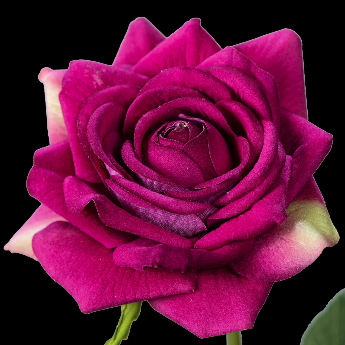 Rose artificielle en velours pourpre 58 cm, gros plan sur la fleur fuchsia