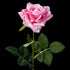 Rose artificielle en velours rose 58 cm, fleur ouverte et feuillage dentelé