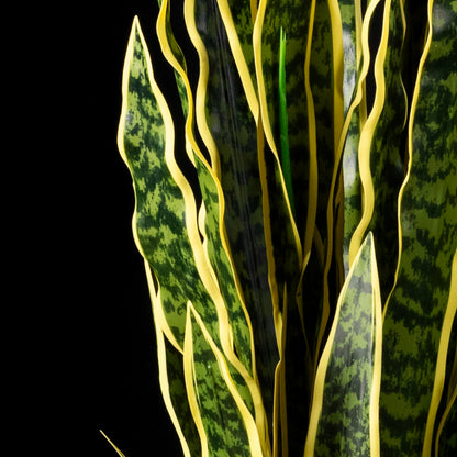 Plante artificielle Sanseveria 120 cm — détail feuillage réaliste, sans entretien