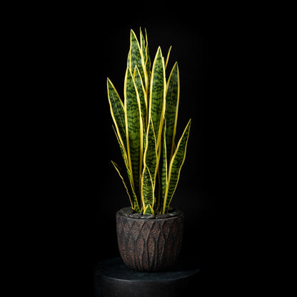 Plante artificielle Sanseveria 86 cm — visuel produit, sans entretien pour intérieur