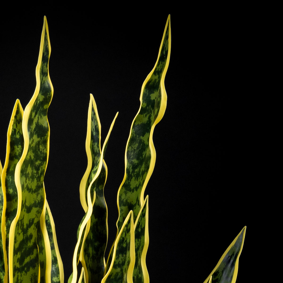 Plante artificielle Sanseveria 120 cm Galan GA — déco intérieur réaliste sans entretien