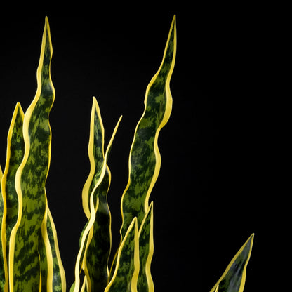 Plante artificielle Sanseveria 120 cm Galan GA — déco intérieur réaliste sans entretien