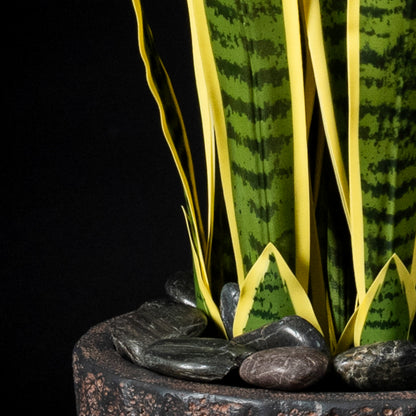 Plante artificielle Sanseveria 120 cm — gros plan, qualité premium réaliste